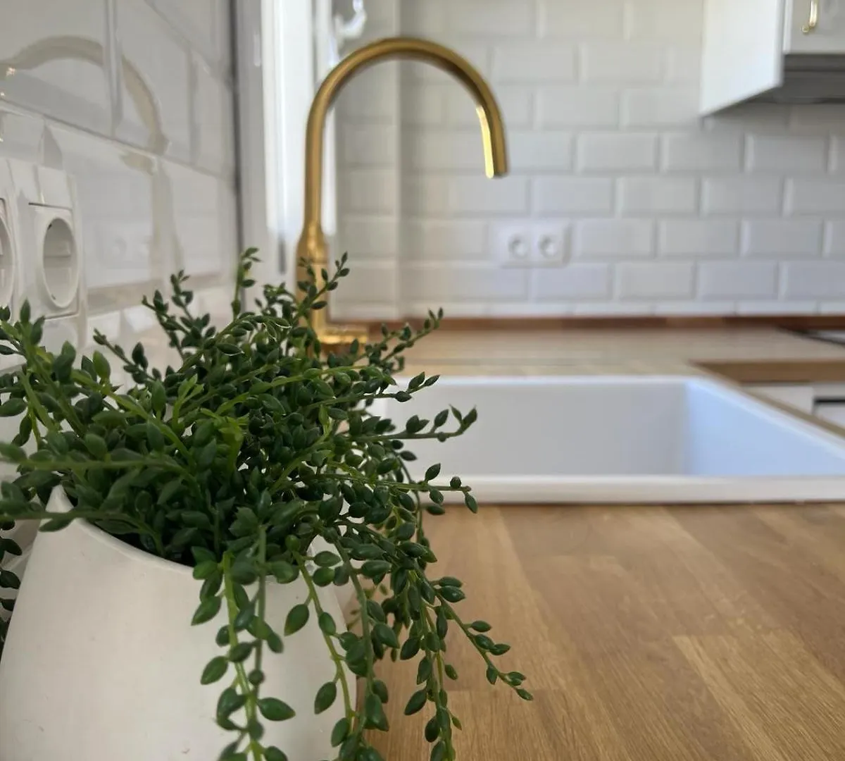 The Traveller'S House Con Vistas A Playa La Caleta Apartment Cadiz